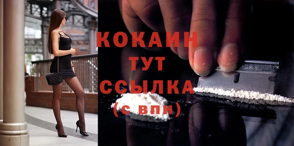 мдпв Елизово