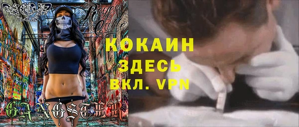мдпв Елизово