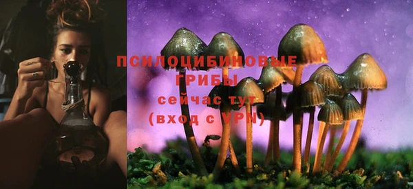 мдпв Елизово