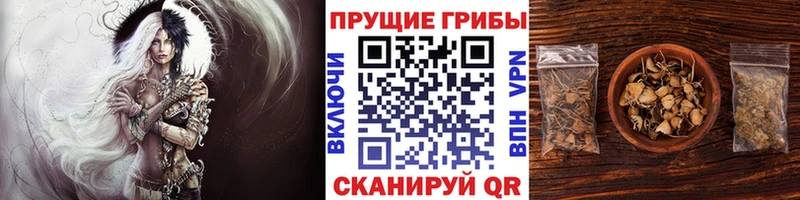 Галлюциногенные грибы мухоморы  Славянск-на-Кубани 