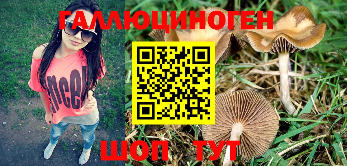 Псилоцибиновые грибы MAGIC MUSHROOMS Славянск-на-Кубани