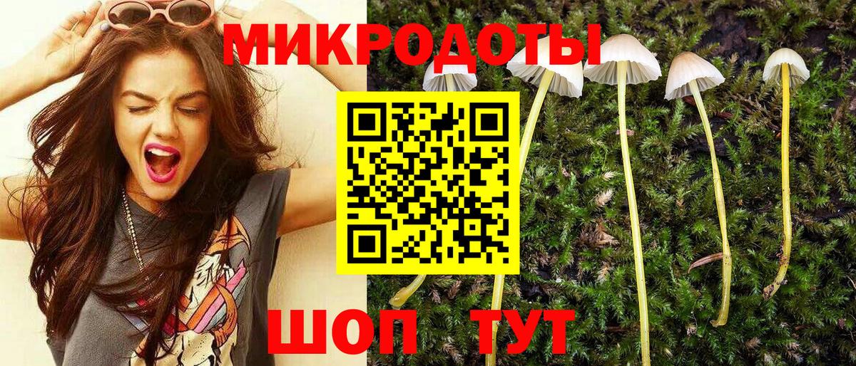 Славянск-на-Кубани  Галлюциногенные грибы мухоморы  Вход с VPN  Псилоцибиновые грибы Psilocybine cubensis 