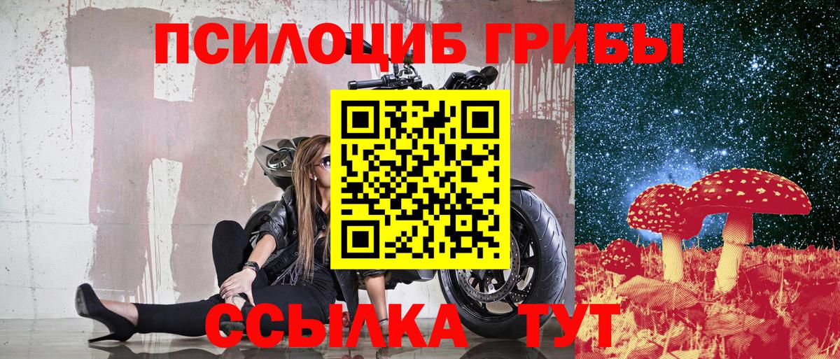 Галлюциногенные грибы прущие грибы  Галлюциногенные грибы мухоморы  Славянск-на-Кубани 